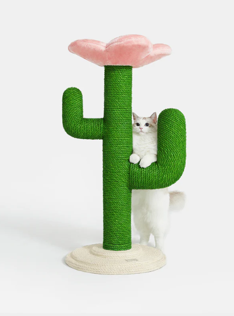Cactus Toys for Dogs & Cats