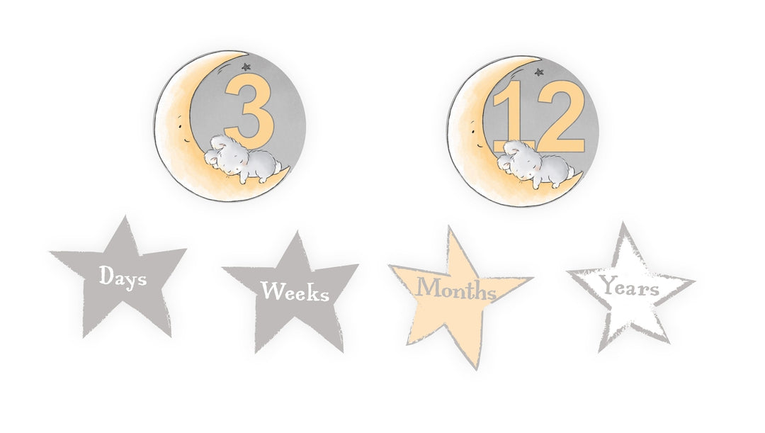Twinkle Twinkle Milestone Blanket