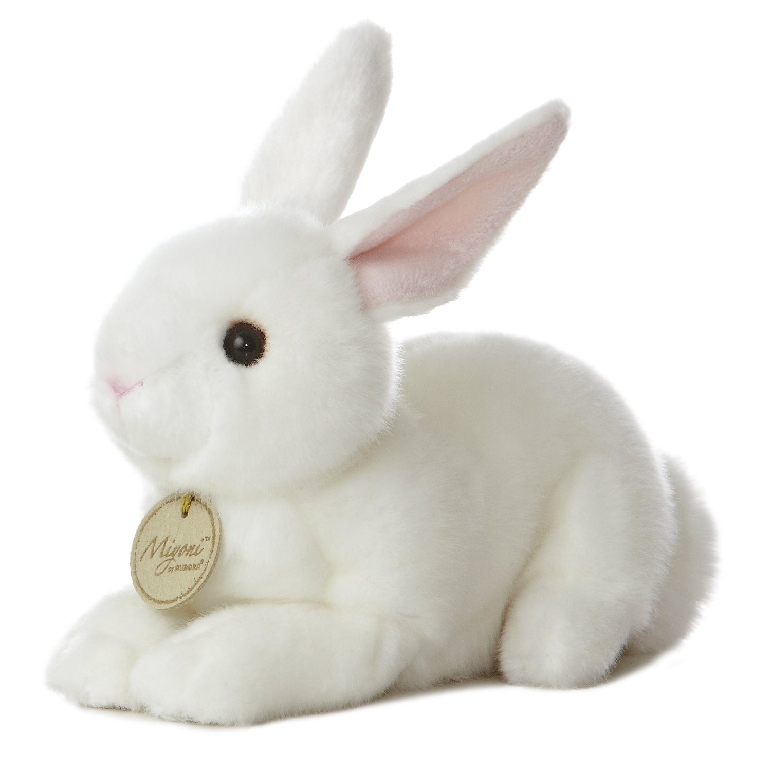 '- Miyoni - American White Rabbit