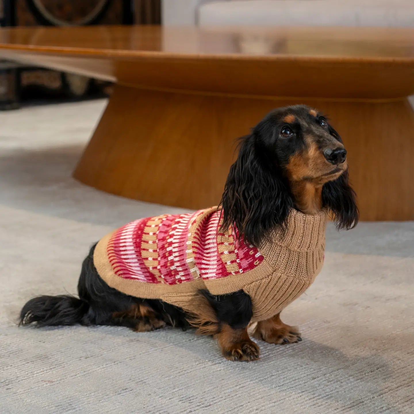 Ice Cherry Alpaca Blend Dog Sweater