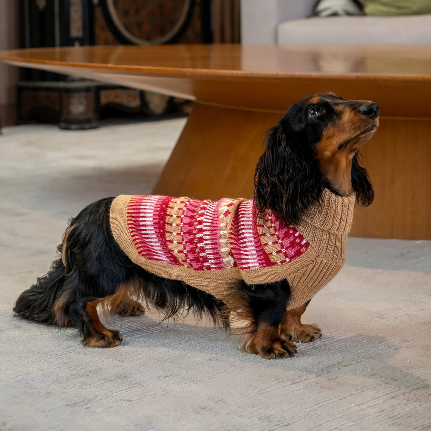 Ice Cherry Alpaca Blend Dog Sweater