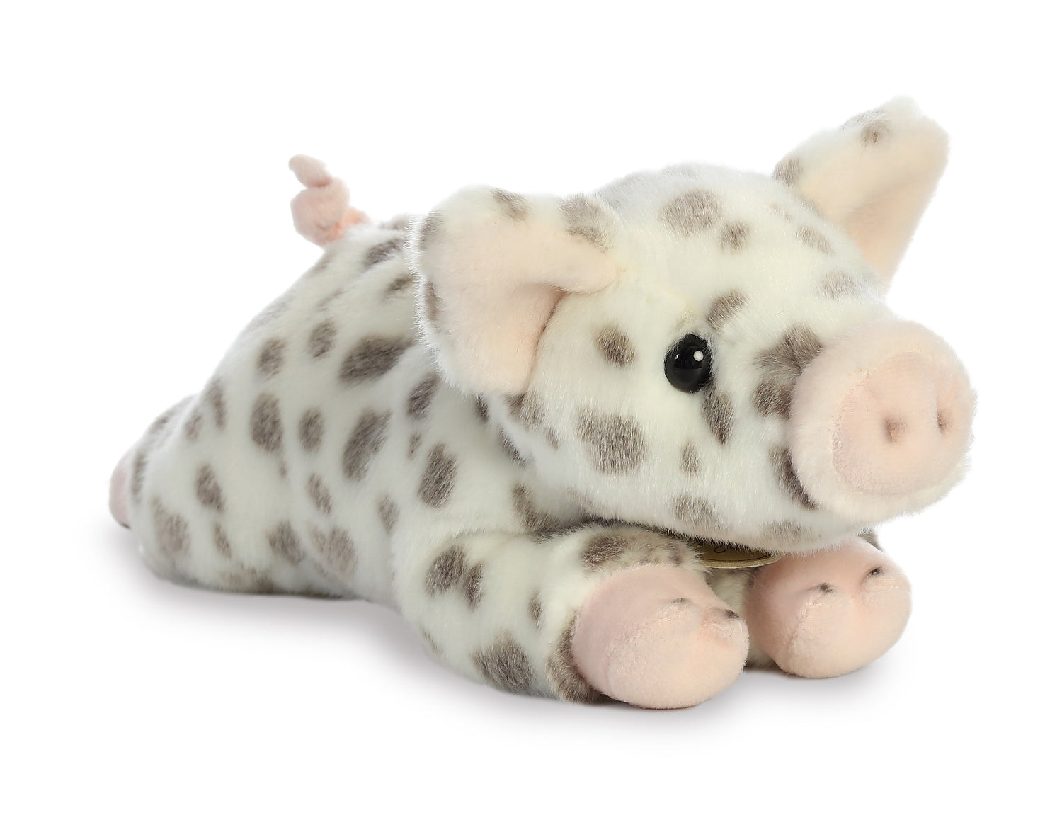 '- Miyoni - Spotted Piglet