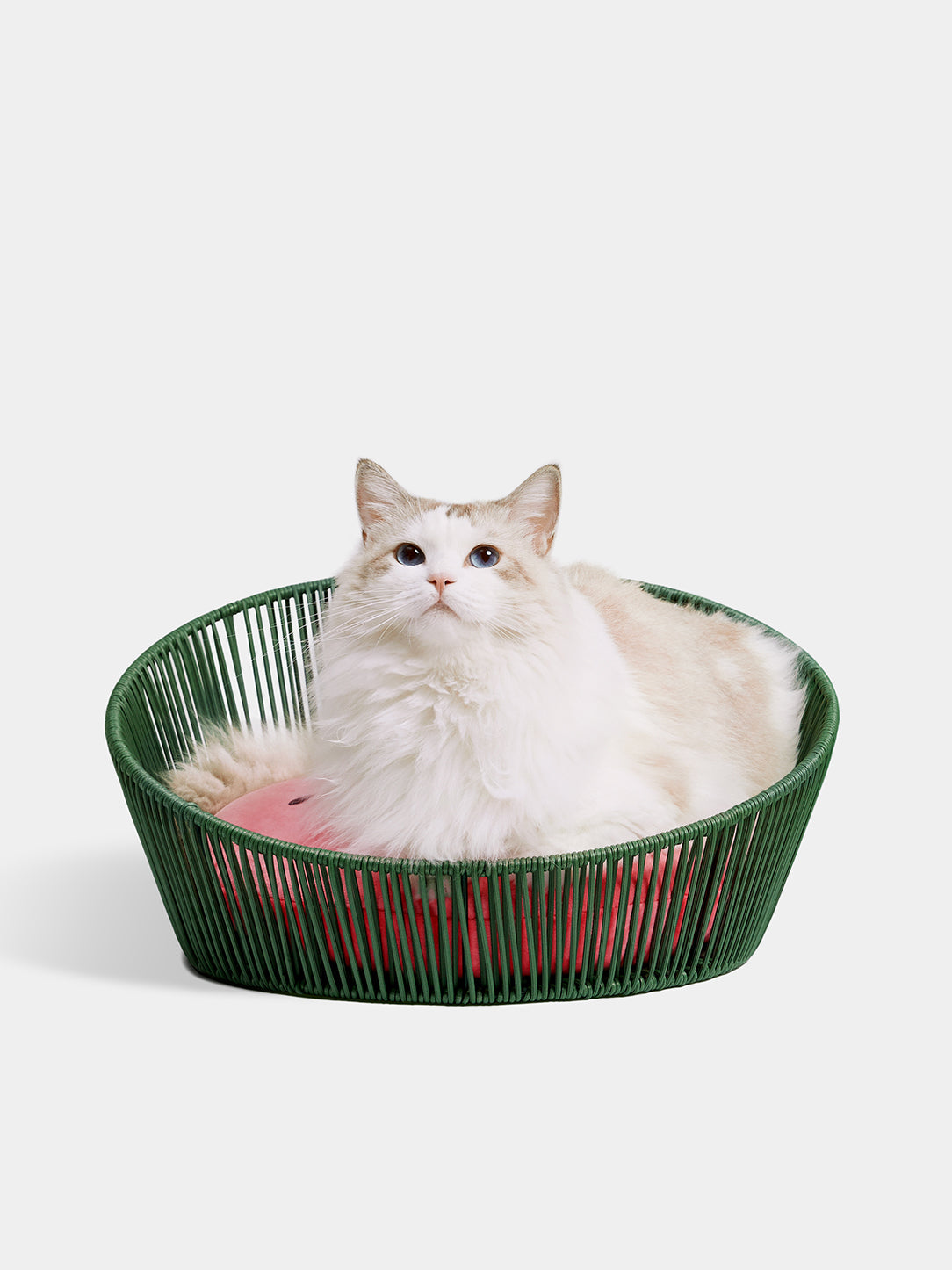 Rattan Cat and Small Dog Bed
