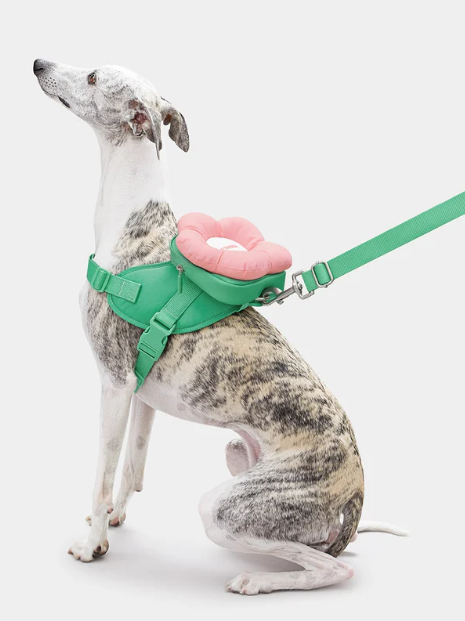 Ensemble sac à dos, harnais et laisse Flora pour animaux de compagnie – 3 en 1, réglable, XS à L