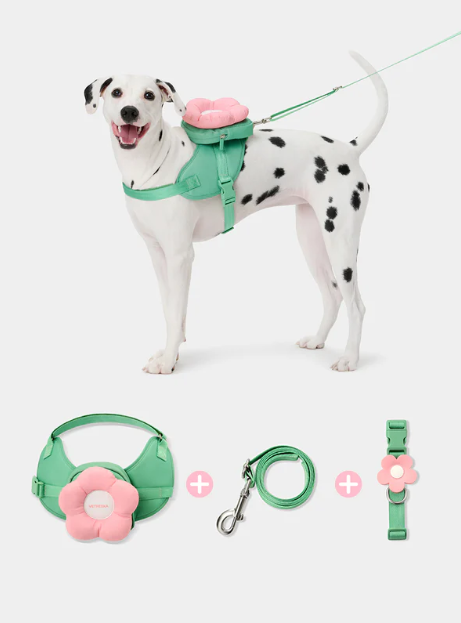 Ensemble sac à dos, harnais et laisse Flora pour animaux de compagnie – 3 en 1, réglable, XS à L