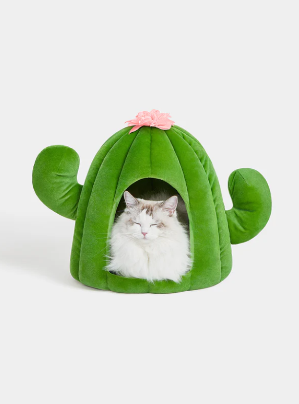Cactus Pet Bed – Plush Polyester Cave, 16.1×16.1×16.9 in (Green/Pink)