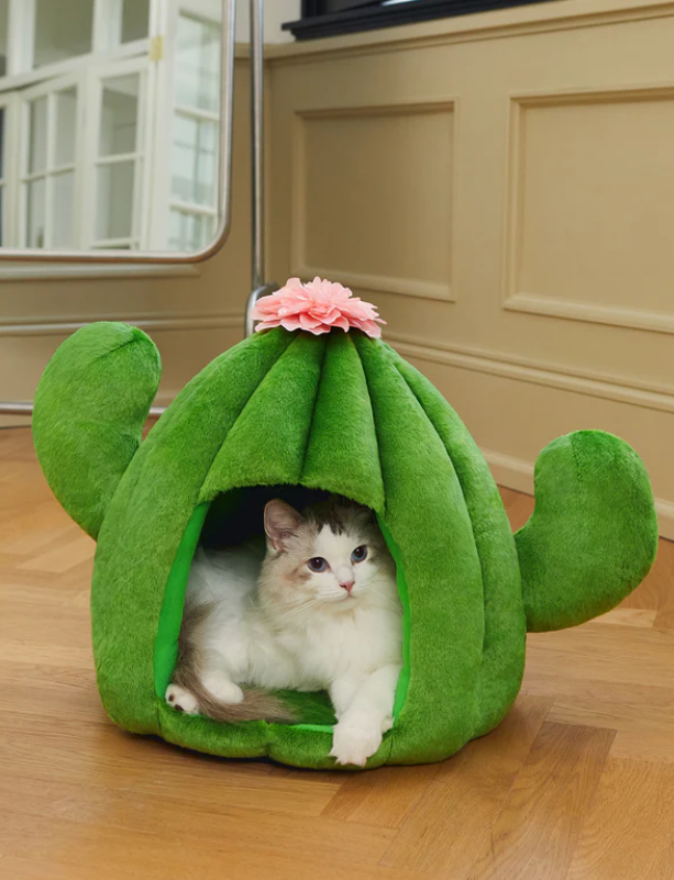Cactus Pet Bed – Plush Polyester Cave, 16.1×16.1×16.9 in (Green/Pink)