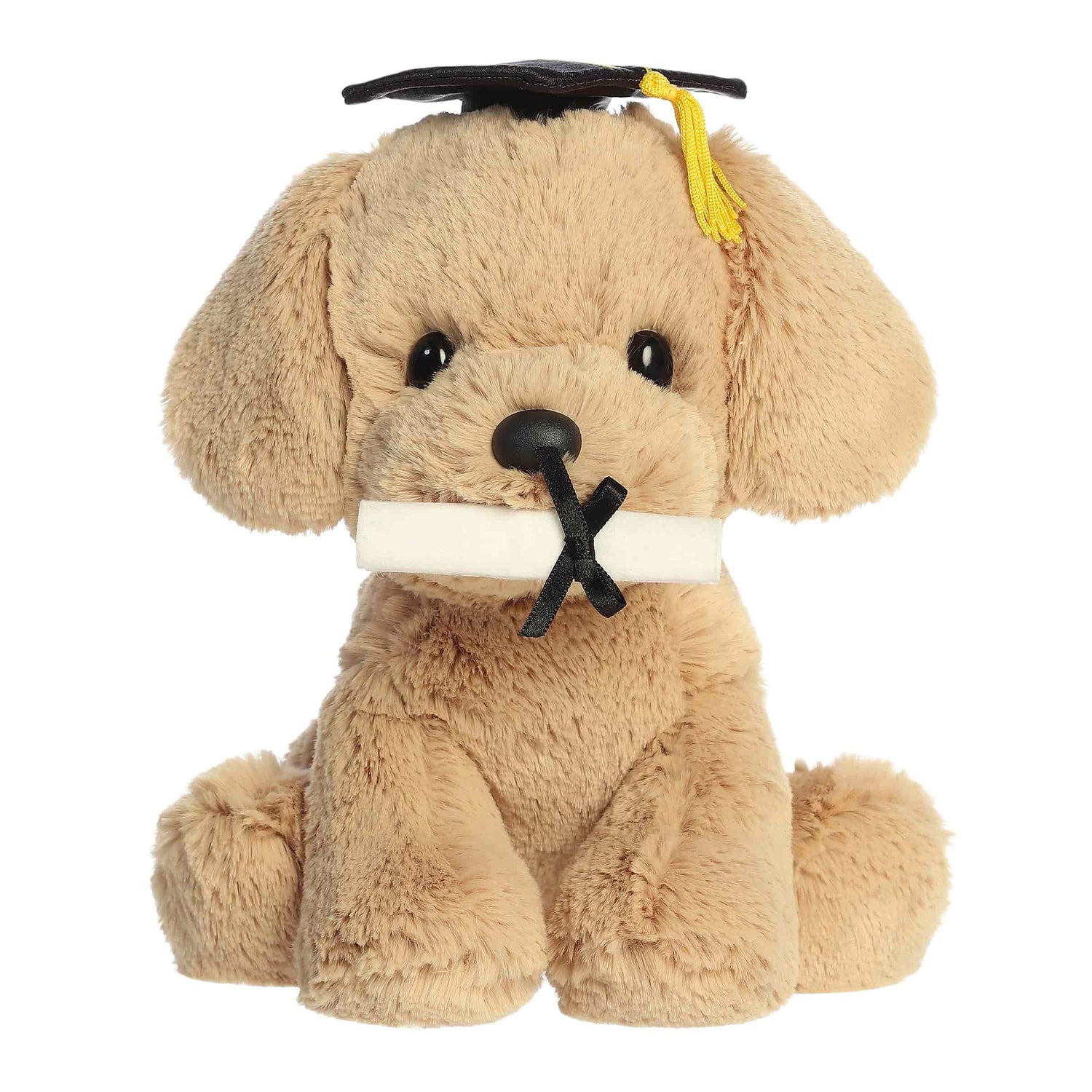'- Graduation - 8.5