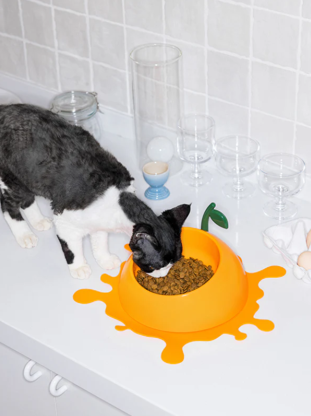 Pet Bowl + Spoon + Mat Set – Angled ABS Bowl, Non-Slip Silicone Mat, 8.5 in, Orange/Green