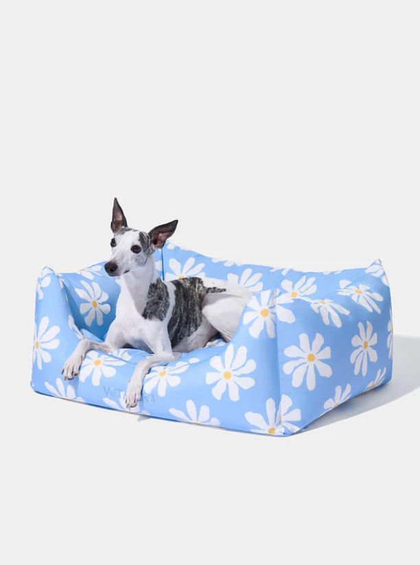 Pet Sofa Bed – Daisy Print, 3-Sided Bolster, Removable Washable Cover (M/L)