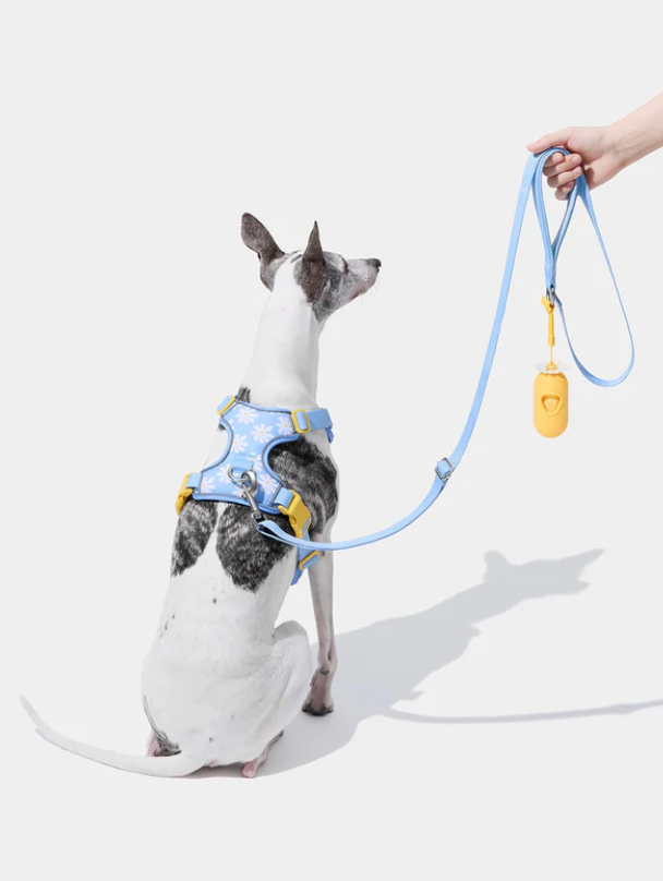 Pet Harness & Leash Set – Daisy Print, Mesh, Reflective, XXS–L