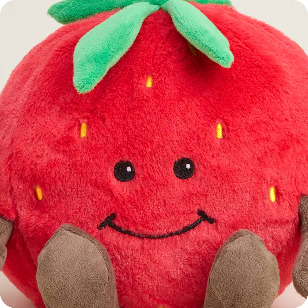 Strawberry Heatable Plush