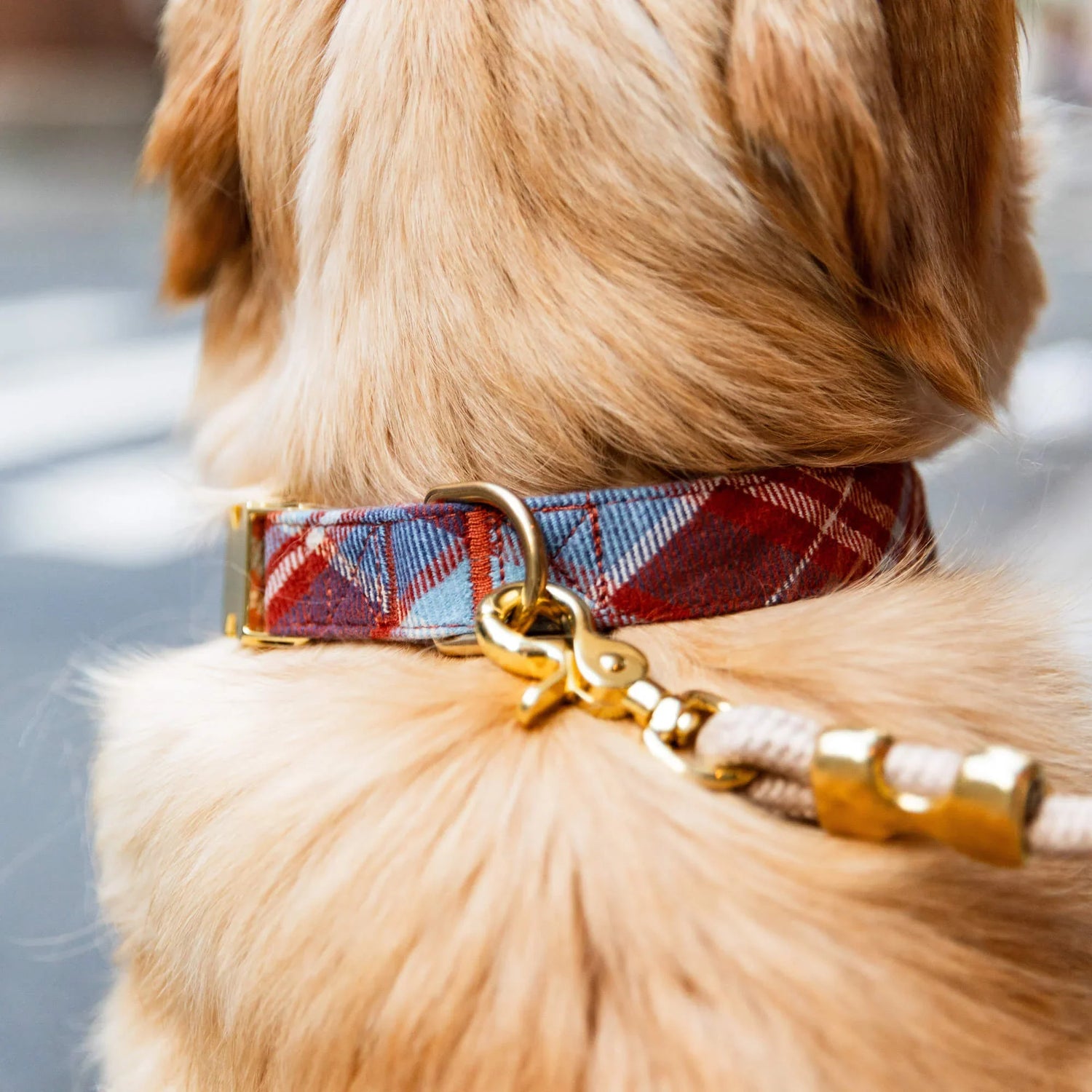 Plaid Dog Collar with Detachable Bow