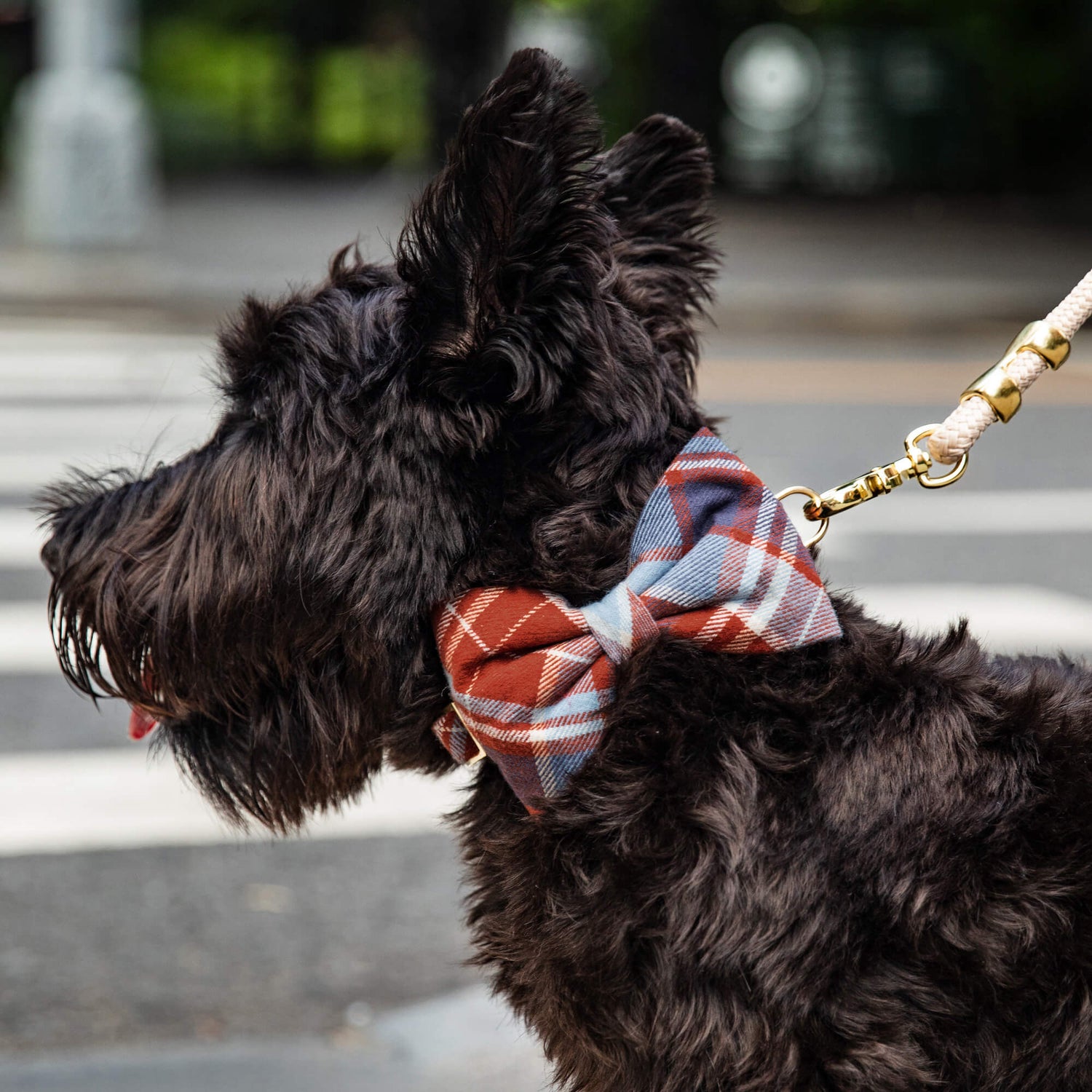 Plaid Dog Collar with Detachable Bow