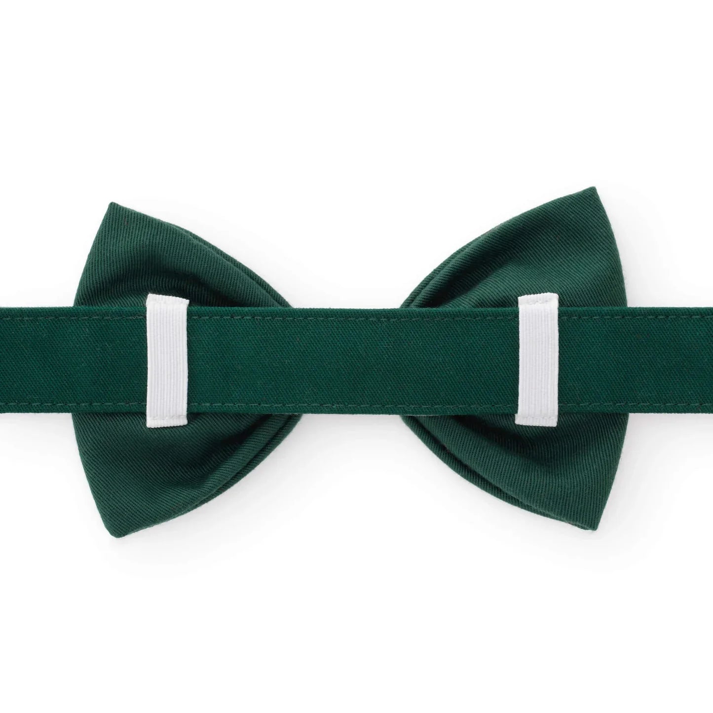 Green Dog Collar with Removable Embroidered Bow
