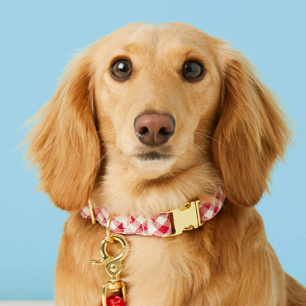 Red Gingham Dog Collar with Removable Bow