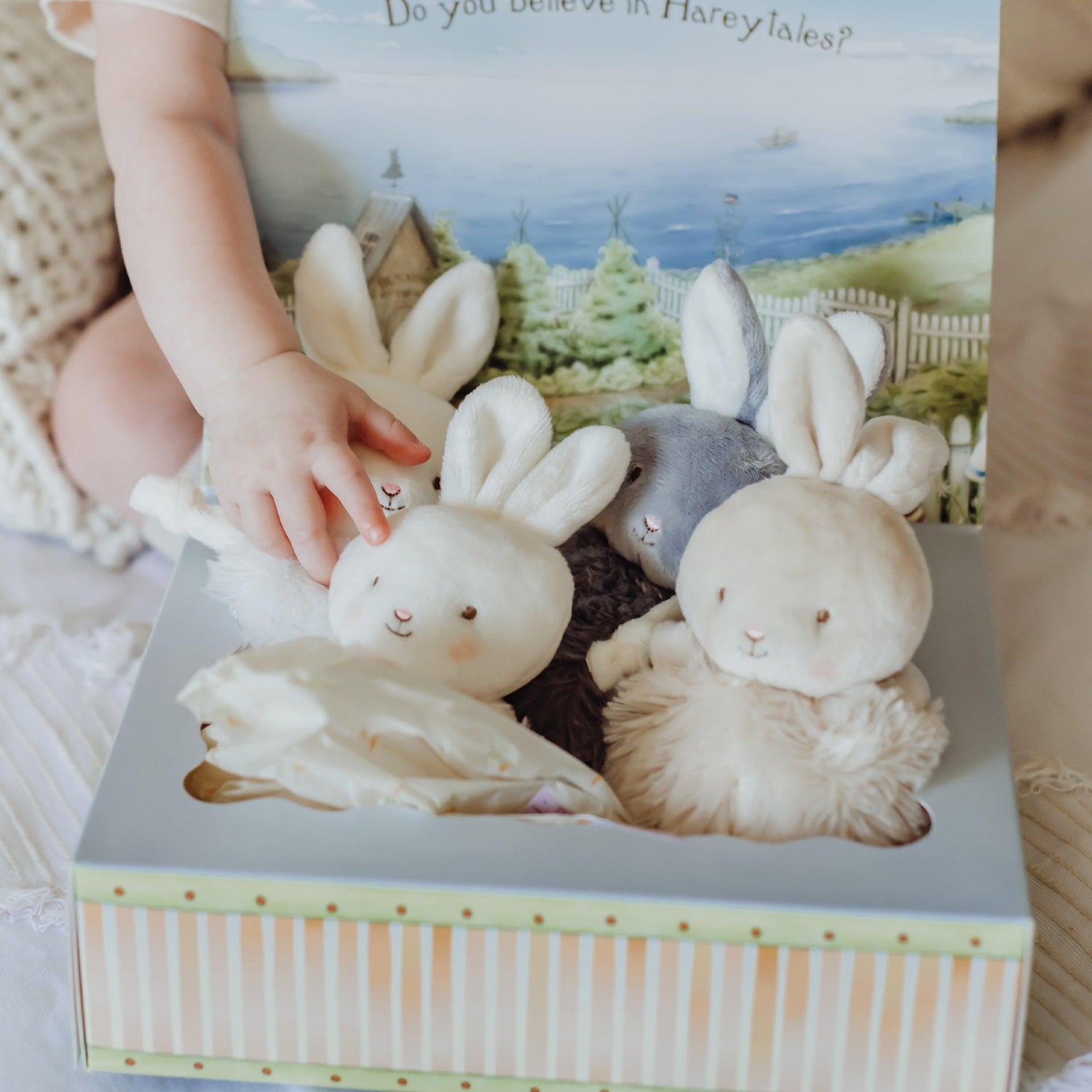 Roly Poly Bunny Collector's Gift Set