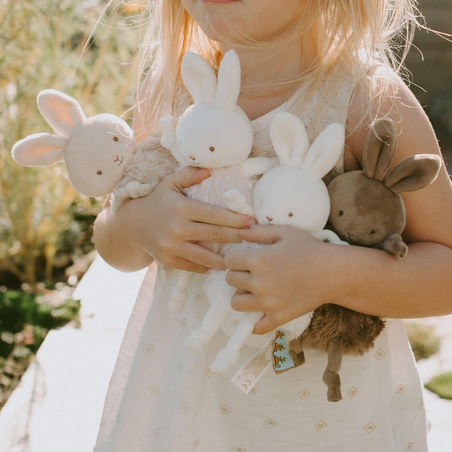 Roly Poly Brownie - Brown Bunny
