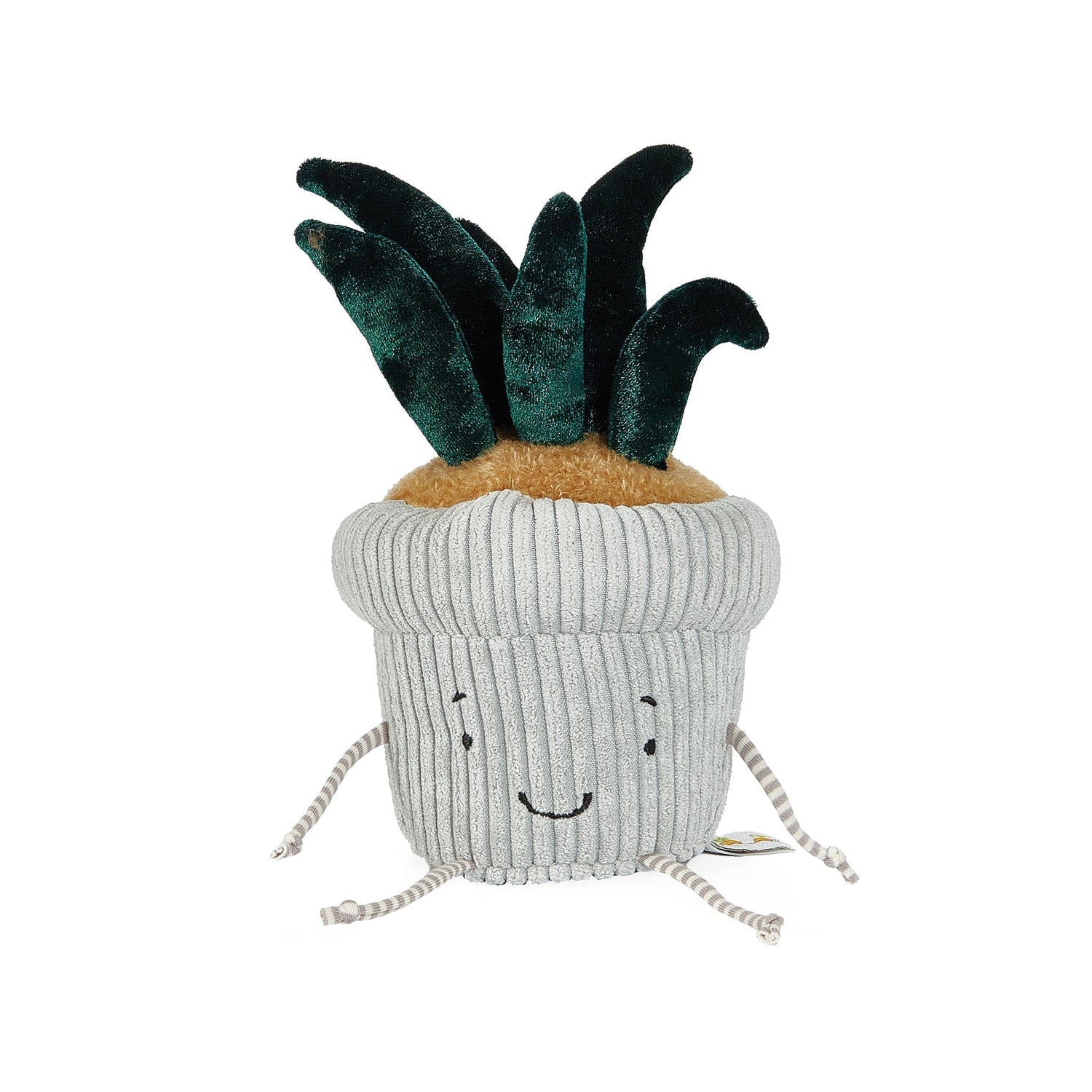 Snake Plant Windowsill Plush