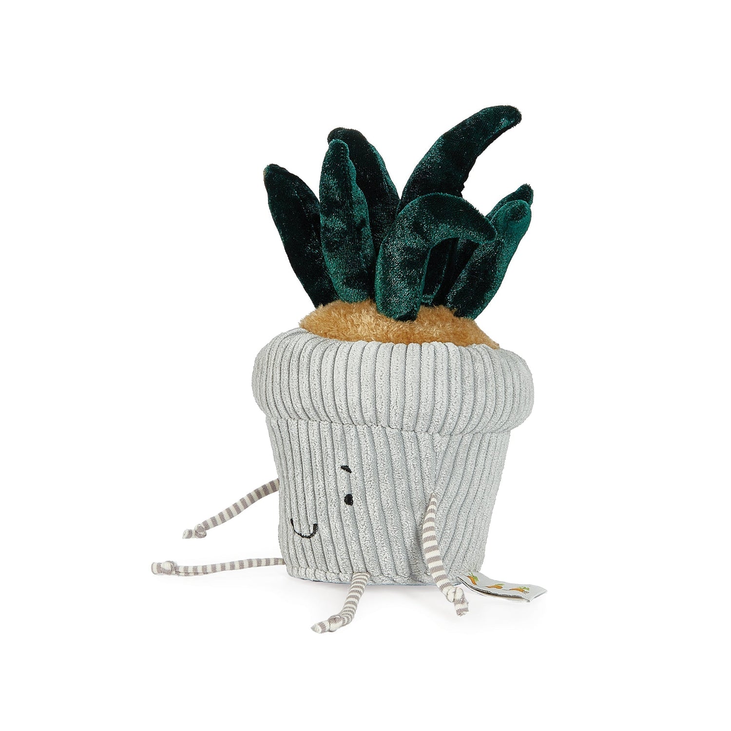 Snake Plant Windowsill Plush