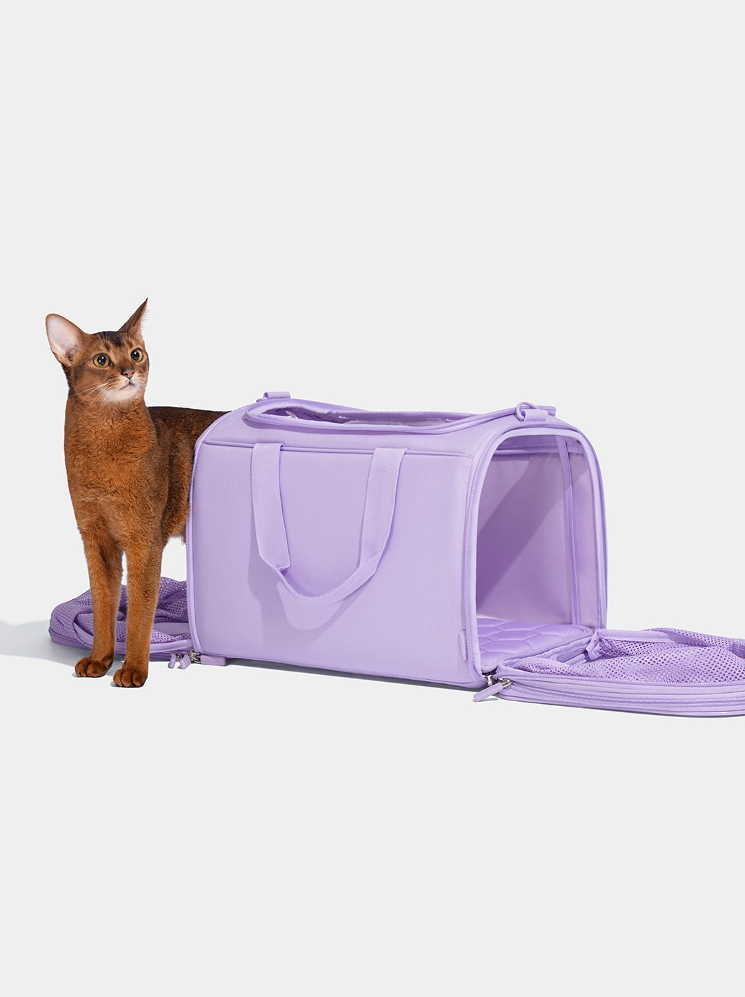 Expandable Cat and Small Dog Carrier – Violet Polyester, 18–40 in Adjustable Size