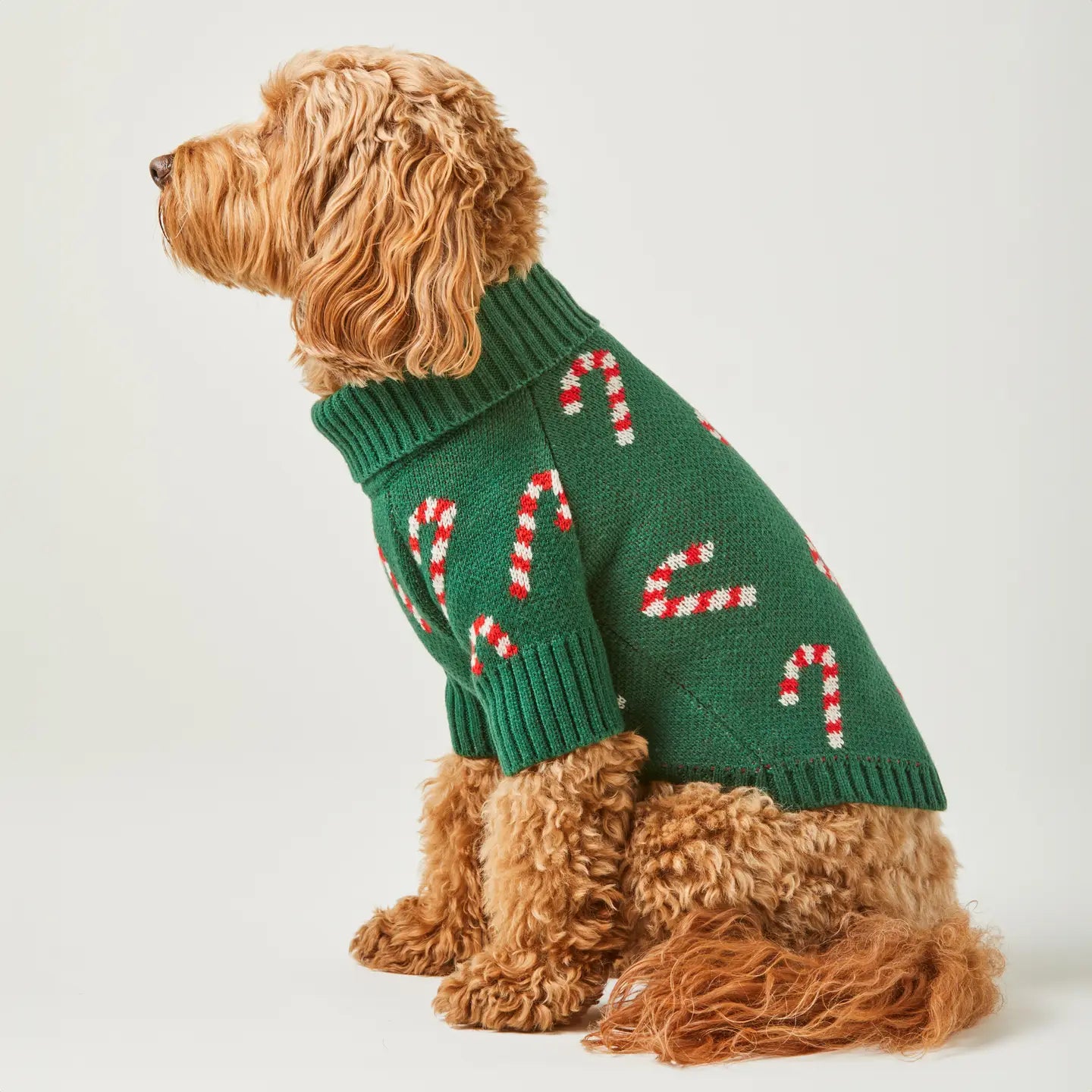 Gingerbread Pattern Dog Sweater