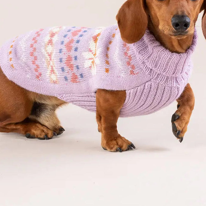 Alpaca Blend Dog Sweater