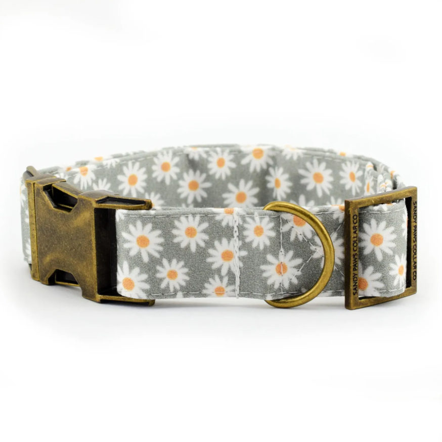 Adjustable Fabric Dog Collar – 4-Layer Sewn XS–XL