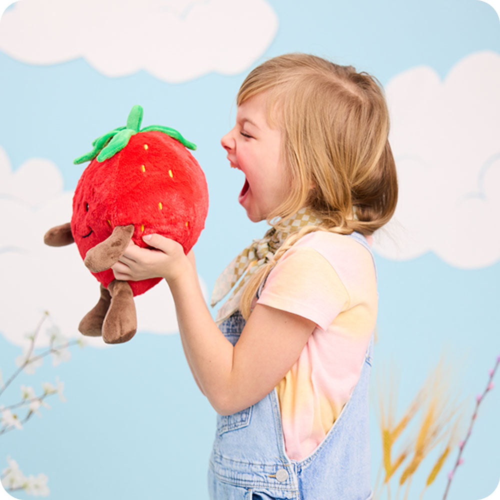 Strawberry Heatable Plush