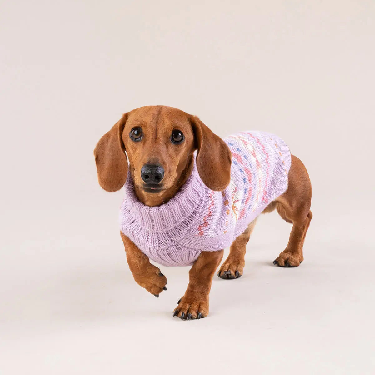 Alpaca Blend Dog Sweater