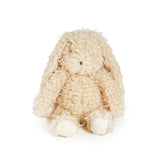 Harey the Bunny Rabbit