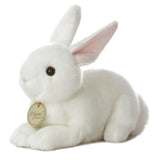 '- Miyoni - American White Rabbit