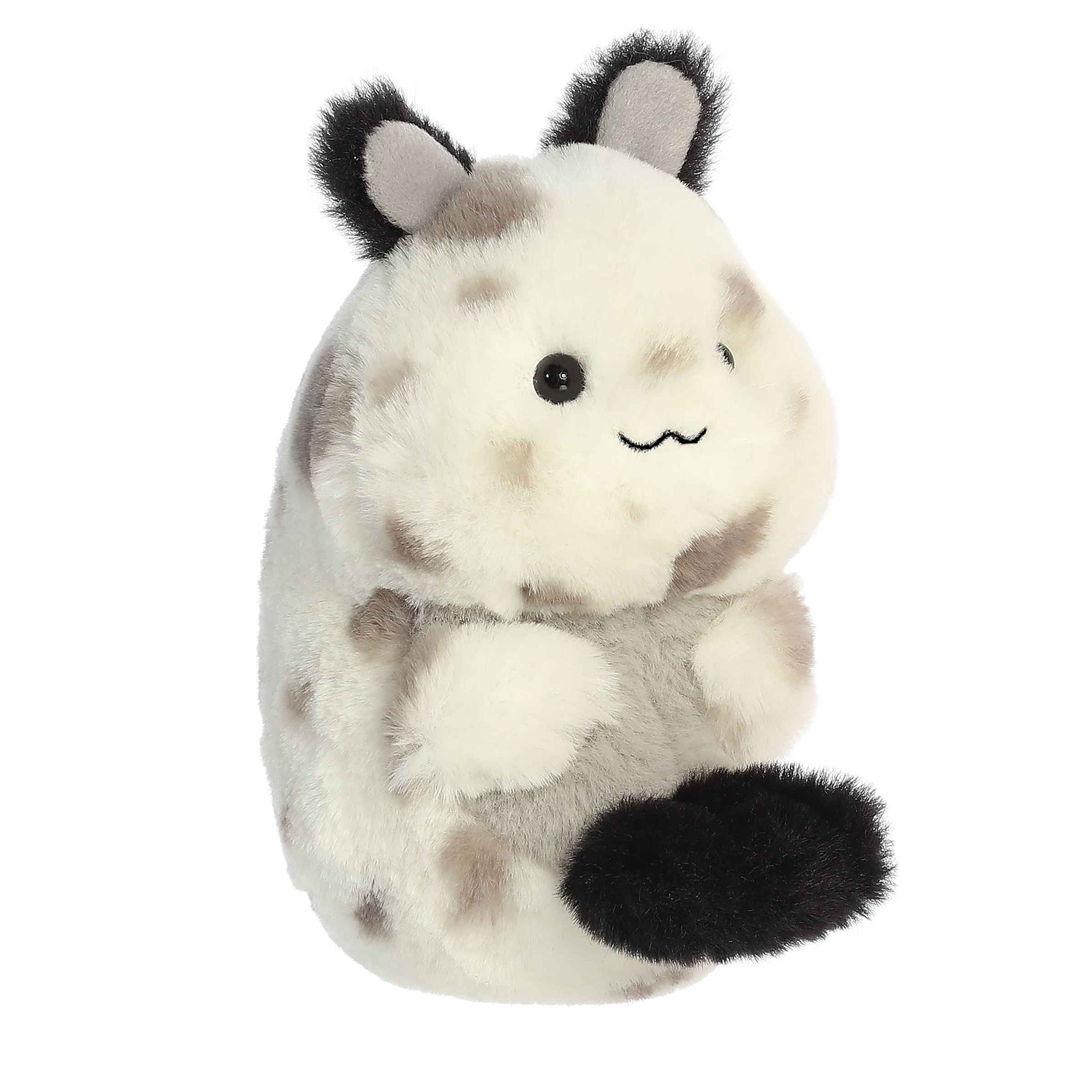 '- Rolly Pet - 5