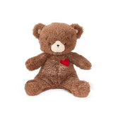Teddy Love – Soft Stuffed Bear with Heart Patch, 14 Inches