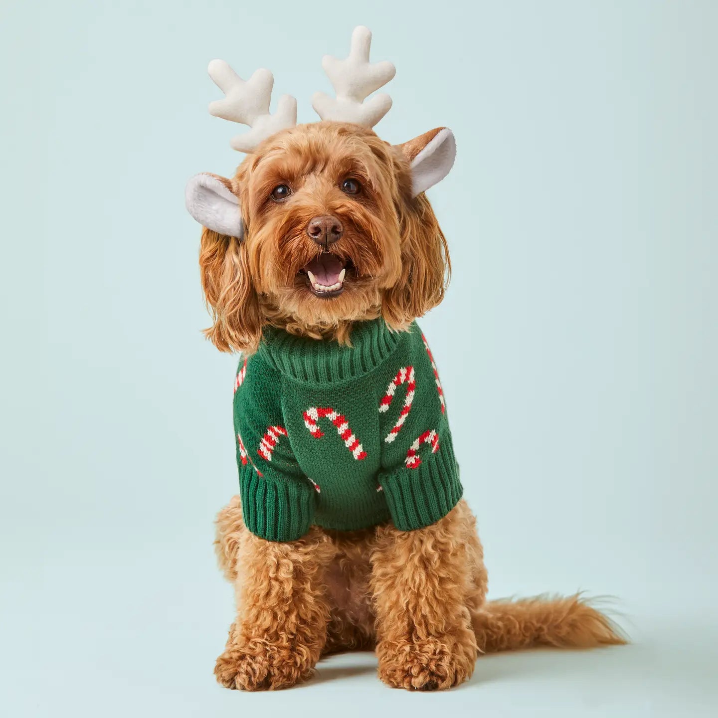 Gingerbread Pattern Dog Sweater