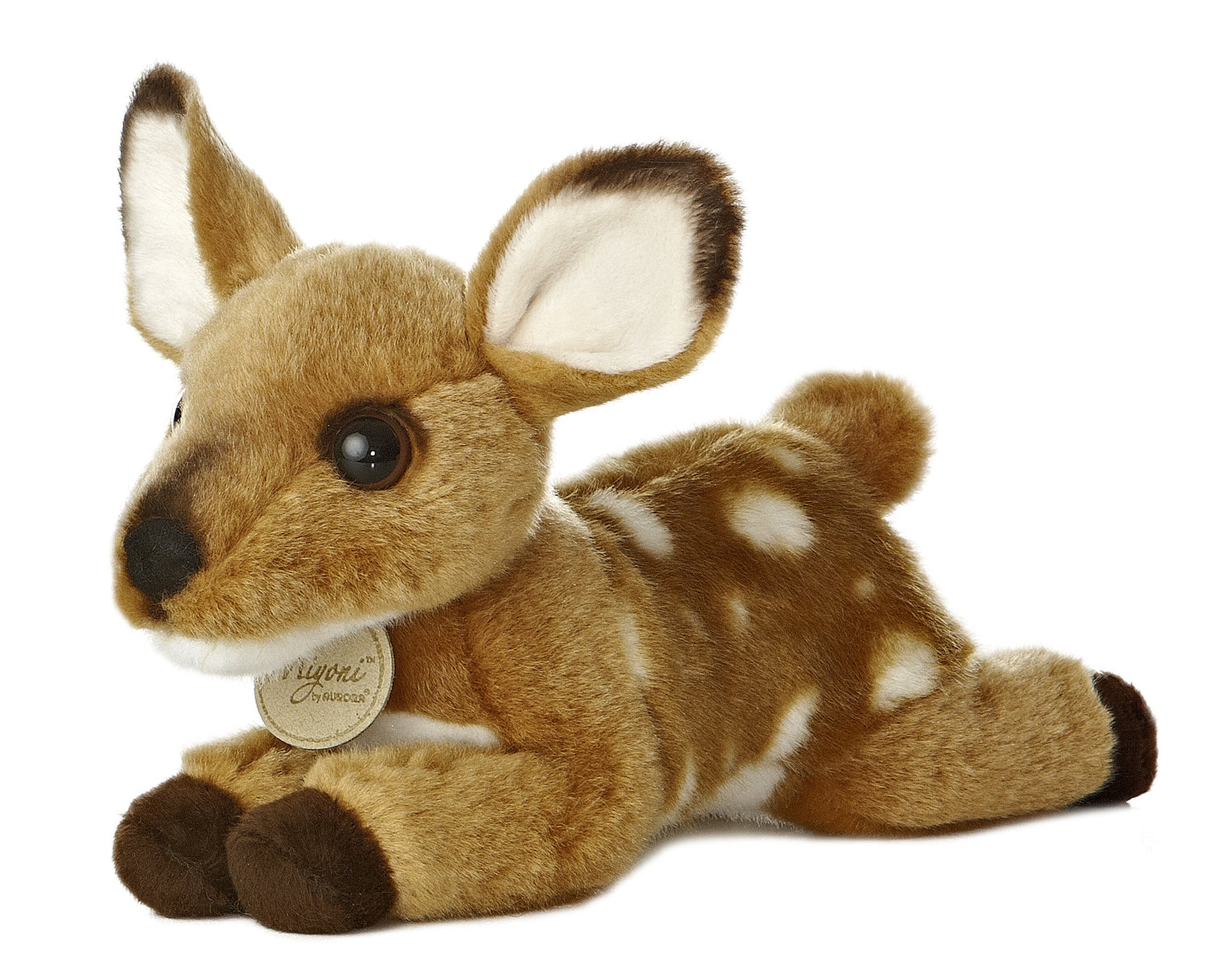 '- Miyoni - Fawn
