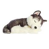 '- Miyoni Tots - 10" Sleepy Husky Pup