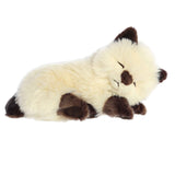 '- Miyoni Tots - 10" Sleepy Himalayan Kitten