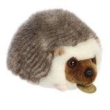 '- Miyoni - 6.5" Hedgehog