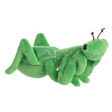 '- Mini Flopsie - 8" Mia Praying Mantis