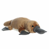 '- Flopsie - 12" Bindi Platypus