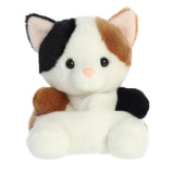 '- Palm Pals - 5" Peebs Calico Cat