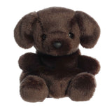 '- Palm Pals - 5" Sienna Chocolate Lab