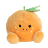 '- Palm Pals - 5" Tangie Orange