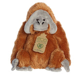 '- Eco Nation - Eco Hugs - 12" Orangutan