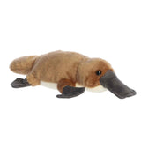'- Mini Flopsie - 11" Bindi Platypus
