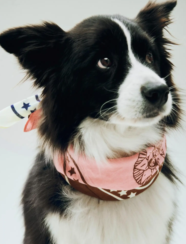 Pink Dog Bandana – 50% Recycled Cotton, 55×55 cm Tie-On