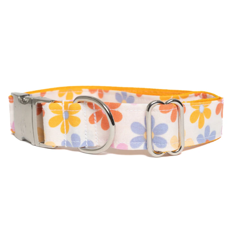 Dog Collar – Retro Daisy Print, Cotton/Nylon Webbing, 1 in, S–L