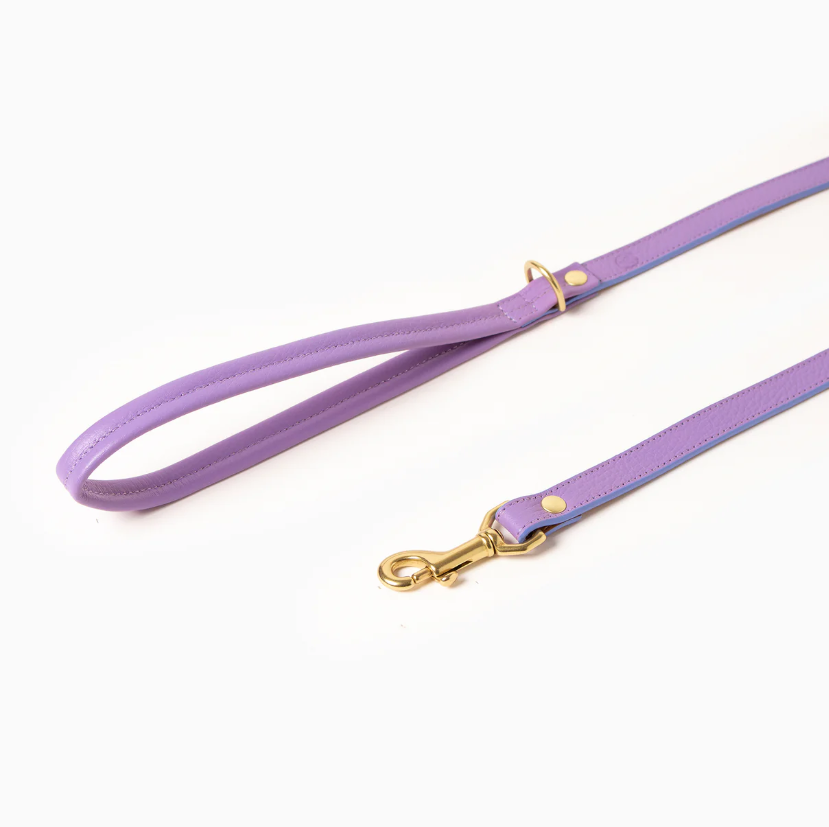 Lilac Leather Dog Leash – Brass Hardware, D-Ring Handle, 100 cm (1.5–3 cm widths)