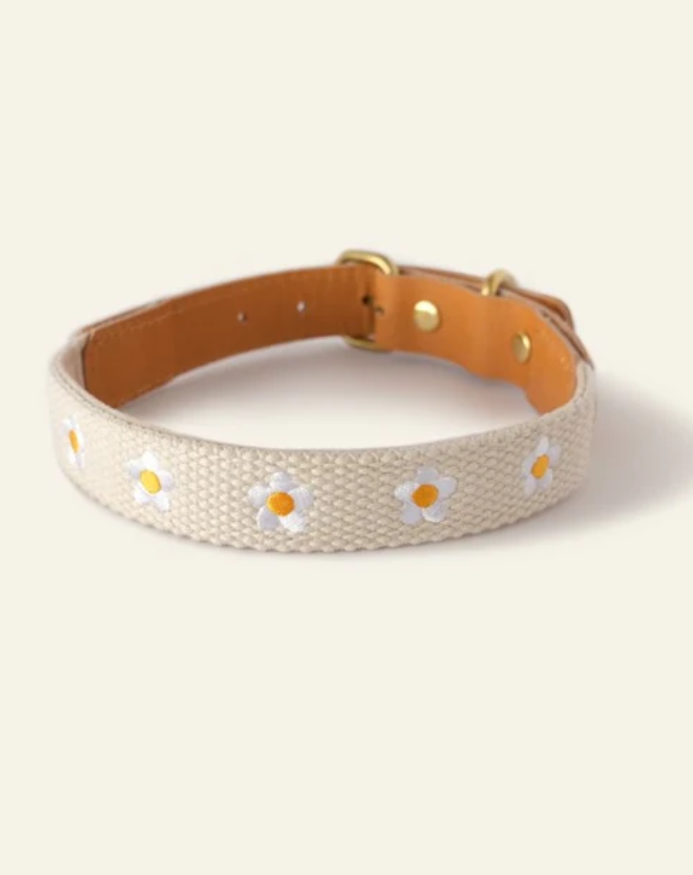 Dog Collar + Leash Set – Daisy Embroidery, Cotton/Leather, 5 ft Leash